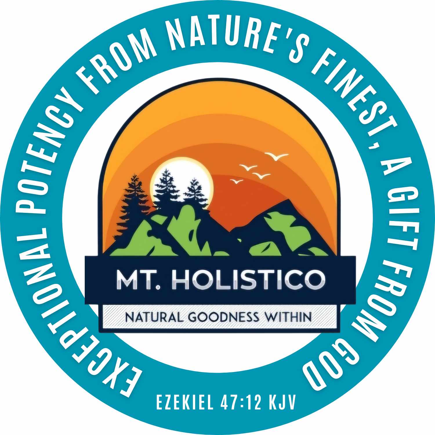 Mt. Holistico logo